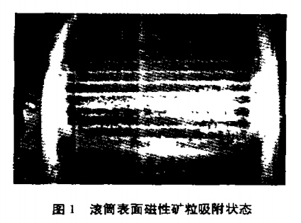 滾筒表麵磁性礦粒吸附狀態