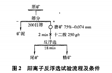 陰離子反浮（fú）選試驗流程及（jí）條件