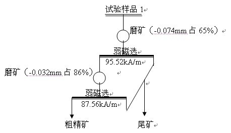 製（zhì）取粗（cū）精礦的試驗工藝流程