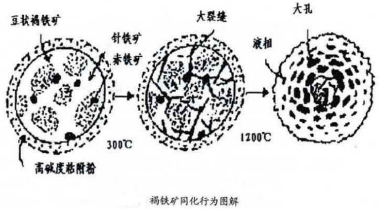 褐鐵礦同化（huà）行為圖解