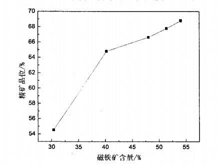 磁鐵礦含量與精（jīng）礦品位（wèi）關（guān）係圖